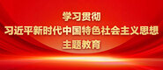 男生的鸡鸡对着女生的屁股视频没有马赛克学习贯彻习近平新时代中国特色社会主义思想主题教育_fororder_ad-371X160(2)